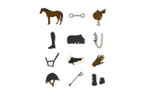 Accessories for horses