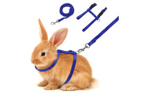 Rabbit accessories