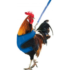 CHICKEN HARNESS