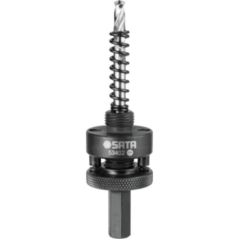 Caurumu zāģa lapene 1/2